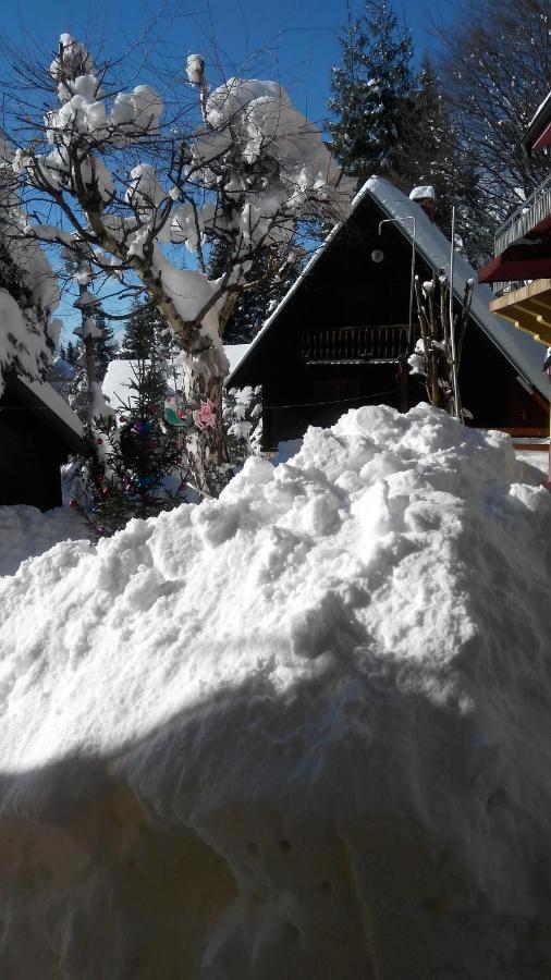 Apartmani Miletic Kopaonik Exterior photo